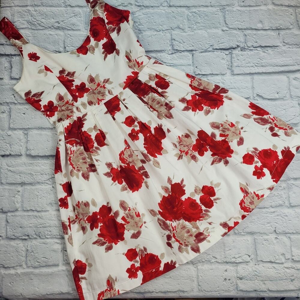 Spicy Sugar Floral Sun Dress Pleated with Crinoline size 8